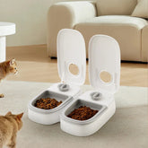 Programmable Timed Pet Food Dispensing Station